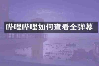 哔哩哔哩如何查看全弹幕