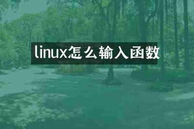 linux怎么输入函数