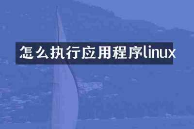 怎么执行应用程序linux