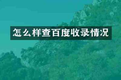 怎么样查百度收录情况