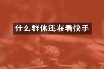 什么群体还在看快手