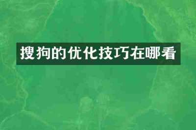 搜狗的优化技巧在哪看