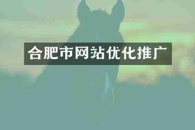合肥市网站优化推广