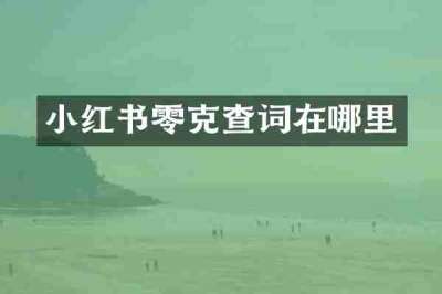 小红书零克查词在哪里