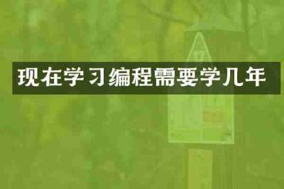 现在学习编程需要学几年