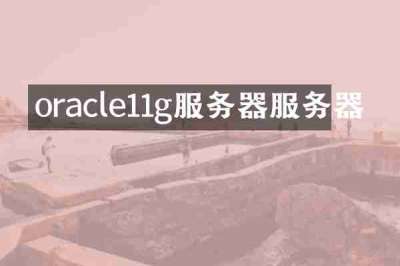 oracle11g服务器服务器