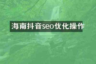 海南抖音seo优化操作