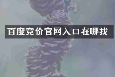 百度竞价官网入口在哪找