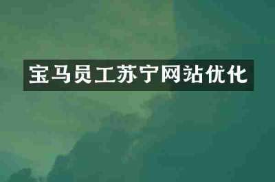 宝马员工苏宁网站优化