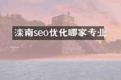 滦南seo优化哪家专业