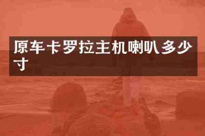 原车卡罗拉主机喇叭多少寸