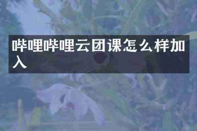 哔哩哔哩云团课怎么样加入