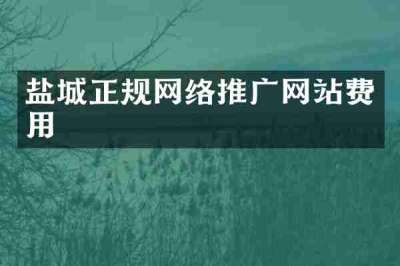 盐城正规网络推广网站费用