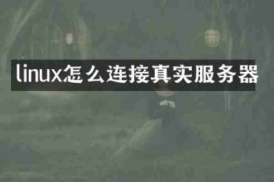 linux怎么连接真实服务器