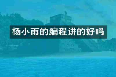 杨小雨的编程讲的好吗