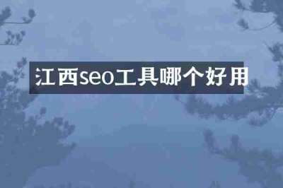江西seo工具哪个好用
