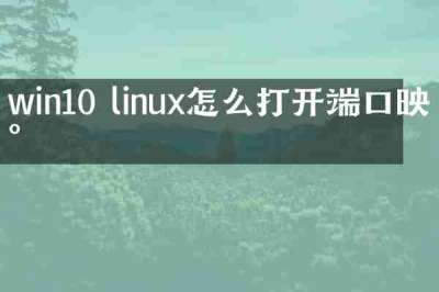 win10 linux怎么打开端口映射