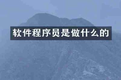 软件程序员是做什么的