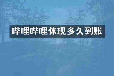 哔哩哔哩体现多久到账