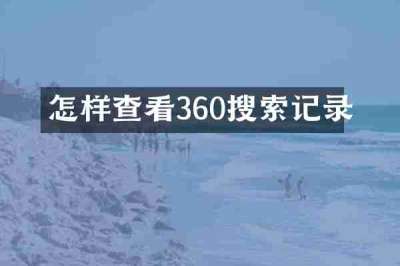 怎样查看360搜索记录