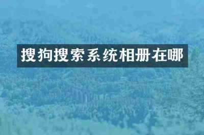 搜狗搜索系统相册在哪