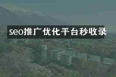 seo推广优化平台秒收录