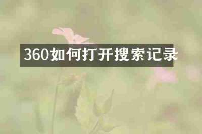 360如何打开搜索记录