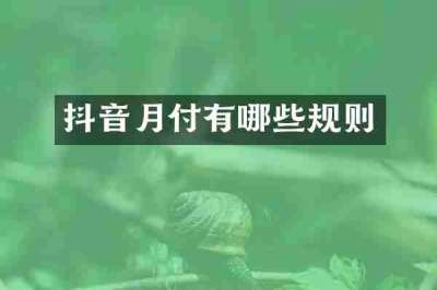 抖音月付有哪些规则