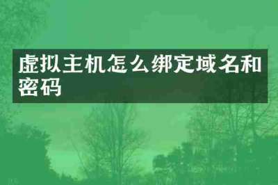 虚拟主机怎么绑定域名和密码