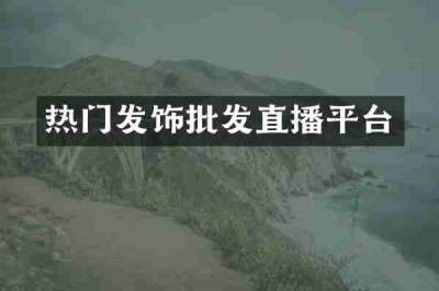 热门发饰批发直播平台