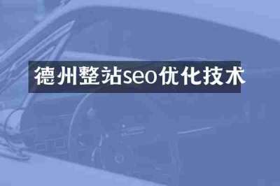 德州整站seo优化技术