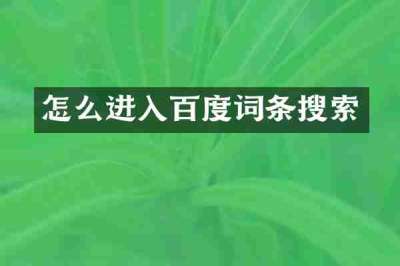 怎么进入百度词条搜索