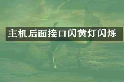 主机后面接口闪黄灯闪烁