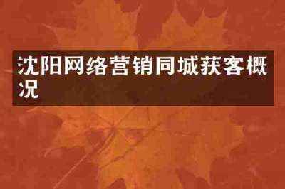 沈阳网络营销同城获客概况