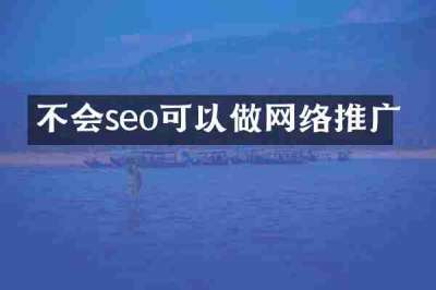 不会seo可以做网络推广