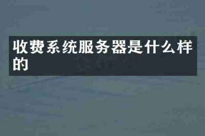 收费系统服务器是什么样的