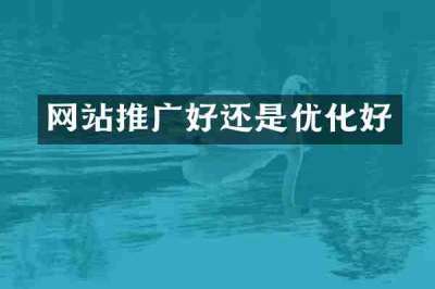 网站推广好还是优化好