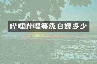哔哩哔哩等级白嫖多少