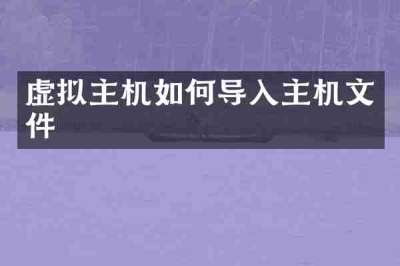 虚拟主机如何导入主机文件