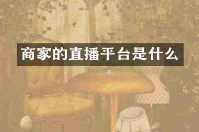 商家的直播平台是什么
