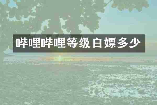 哔哩哔哩等级白嫖多少