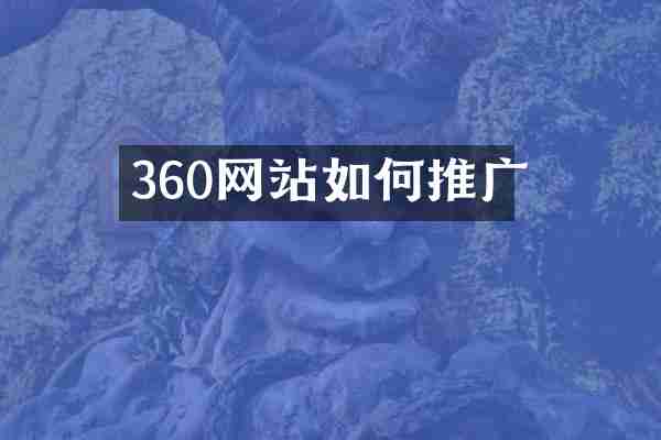 360网站如何推广