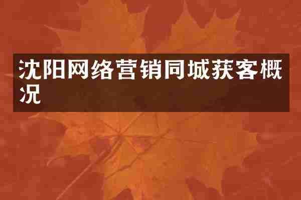 沈阳网络营销同城获客概况