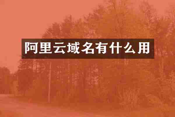 阿里云域名有什么用