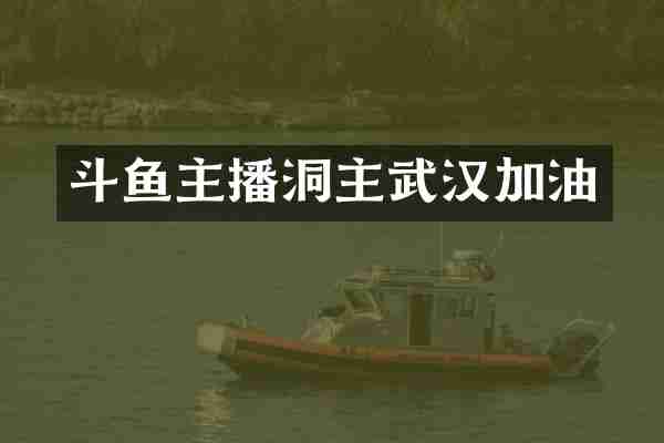 斗鱼主播洞主武汉加油
