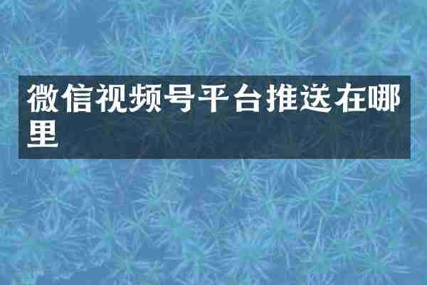 微信视频号平台推送在哪里