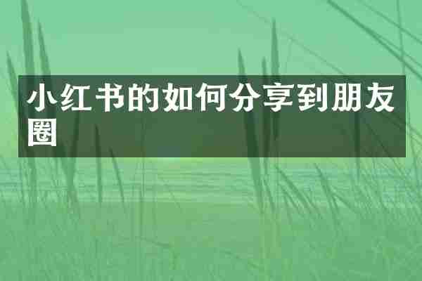 小红书的如何分享到朋友圈
