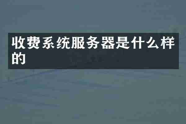 收费系统服务器是什么样的