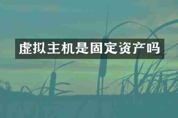 虚拟主机是固定资产吗