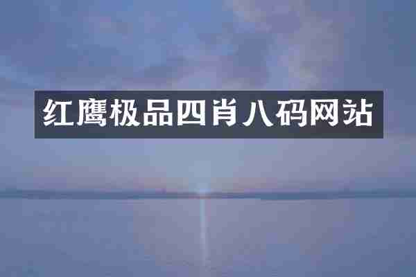红鹰八码网站